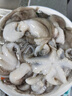 美加佳三去小章魚(yú)凈重2斤（500g*2袋）16-26只 去臟八爪魚(yú) 曬單實(shí)拍圖