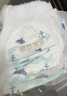 碧芭寶貝盛夏光年拉拉褲XXXL26片(≥18kg)學步褲 夏季超薄 透氣不悶熱 曬單實拍圖