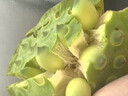 沃江源【加冰順豐發(fā)貨】湖北新鮮水果蓮蓬洪湖蓮蓬嫩蓮蓬太空蓮蓬嫩甜鮮 3斤 曬單實(shí)拍圖