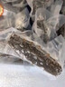 獐子島即食海參 大連底播遼刺參冷凍海參開袋即食冰鮮海鮮水產(chǎn)參萌萌 即食海參 1500g 24-30只 曬單實拍圖