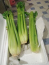 京鮮生山東新鮮大西芹凈重4.5斤榨汁現(xiàn)挖芹菜鮮嫩蔬菜 去半葉源頭直發(fā) 曬單實(shí)拍圖