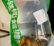 鮮活波士頓龍蝦400-500g/只 曬單實(shí)拍圖