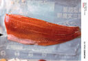 龍羊峽冰鮮國產(chǎn)青海三文魚(yú)柳2斤高原虹鱒含Ω3生鮮魚(yú)類(lèi)源頭直發(fā) 曬單實(shí)拍圖