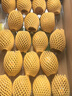 佳沛（zespri）新西蘭  陽(yáng)光金奇異果巨大果22粒原箱 單果重約144-175g 獼猴桃 曬單實(shí)拍圖