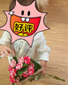 承義堂茉莉玫瑰月季花茶100g茉莉花茶玫瑰花三花茶干花泡水喝養生茶 曬單實(shí)拍圖