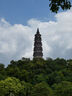 松下（Panasonic）ZS99 長(cháng)焦便攜數碼相機/卡片機 30倍光學(xué)變焦 小巧便攜 Type-C接口 銀色 曬單實(shí)拍圖