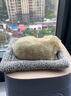 瑜品佳汽車(chē)擺件車(chē)內飾品仿真狗竹炭包車(chē)載好物中控臺裝飾品女高級感男士 車(chē)載擺件大號拉布拉多 曬單實(shí)拍圖