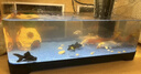 闊庭（KUOTING）魚(yú)缸懶人魚(yú)缸家用客廳辦公室水培吊籃金魚(yú)缸過(guò)濾魚(yú)缸黑色款 曬單實(shí)拍圖