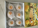 京鮮生 青青大地萊陽(yáng)羊脂秋月梨 凈重4.5斤 6-8粒 生鮮水果 禮盒裝 曬單實(shí)拍圖