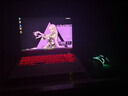 七彩虹隱星G16 Pro 2025旗艦新款16英寸 14代酷睿i9 RTX5070ti/5080/5060 P16游戲筆記本電腦高性能設計 標i9-13900HX/5060/16G1T 電競獨顯 曬單實(shí)拍圖