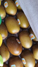 佳沛（zespri）新西蘭  陽光金奇異果25-27粒原箱特大果單果約122-146g  獼猴桃 曬單實拍圖
