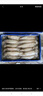 賣(mài)魚(yú)七郎全籽筆管魚(yú)2斤（含保護冰100g）魷魚(yú)海兔子籽烏滿(mǎn)籽帶籽軟足類(lèi) 曬單實(shí)拍圖