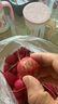 馬保果櫻桃蘿卜新鮮水果紅色皮甜脆生吃東北特產(chǎn)蔬菜蘸醬菜小蘿卜 4斤優(yōu)選 曬單實(shí)拍圖