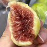 耀好山東威海青皮無花果鮮果孕婦水果甜糯水果糖包子現(xiàn)摘現(xiàn)發(fā)順豐包郵 3斤裝（凈重2.7斤）順豐速發(fā) 曬單實(shí)拍圖