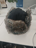 卡蒙（Kenmont）冬季男士厚棉雷鋒帽東北哈爾濱款滑雪大碼保暖毛絨帽子km-2150 曬單實(shí)拍圖