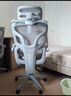 聯(lián)豐（LIANFENG）E-65人體工學(xué)椅電腦椅家用辦公椅久坐舒適電競椅書(shū)房椅 曬單實(shí)拍圖