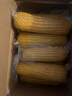 京鮮生東北白糯玉米250g*10棒 新鮮甜糯玉米棒真空包裝粘玉米 源頭直發(fā) 曬單實拍圖