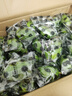 香水檸檬新鮮水果海南青檸檬水果奶茶店專(zhuān)用單果60-180g 香水檸檬9斤 曬單實(shí)拍圖
