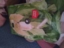 家得寶（homebaby）拉拉褲蠶絲蛋白嬰兒尿不濕男女寶寶超薄透氣學(xué)步褲 XXXXL52片 曬單實(shí)拍圖