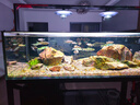 炫科炫科魚(yú)缸加熱棒自動(dòng)恒溫省電加熱器小型烏龜加溫棒ptc變頻加熱棒 【新升級 八重保護】雙屏數顯1200W 曬單實(shí)拍圖