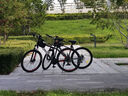 喜德盛（xds）山地自行車(chē)黑客350/旭日310運動(dòng)健身學(xué)生青少年成人單車(chē)騎行 旭日310巖石灰15.5寸 曬單實(shí)拍圖
