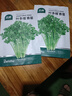 北蔬 香菜種籽老品種小葉大葉盆栽四季籽種苗 葉多維香菜種子約1300粒 曬單實(shí)拍圖