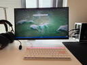 ANTGAMER螞蟻電競 24.5英寸2K300Hz顯示器 氧化物FastIPS 10Bit HDR400 1msGTG DIC技術(shù)護眼低藍光ANT253PQ 曬單實(shí)拍圖