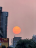 朝花夕拾+西游記（升級版） 人教版名著(zhù)閱讀課程化叢書(shū) 七年級上套裝（共3冊）與24秋新版初中語(yǔ)文教材配套使用（含微課，從教學(xué)角度講解名著(zhù)；含閱讀筆記本，提供測評指導幫助提升整本書(shū)閱讀能力） 曬單實(shí)拍圖