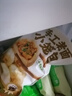 頭廚老面小籠包共1000g約40個(gè)兒童早餐食品半成品嵊州風(fēng)味包子 曬單實(shí)拍圖