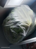 安徽云南種植上海青四季青蔬菜類(lèi)新鮮現發(fā)青菜小青菜綠葉菜香菇菜 5斤帶箱 小青菜 曬單實(shí)拍圖