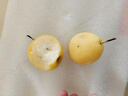 迭果鞍山南果梨遼寧東北特產(chǎn)梨子新鮮水果細(xì)皮南國香水梨 5斤帶箱黃果30個(gè)左右 曬單實(shí)拍圖