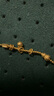 喜上眉梢足金999轉(zhuǎn)運(yùn)珠古法傳承麻花跑環(huán)隔片創(chuàng)意路路通DIY文玩配飾送禮女 0.14g 卡5古法麻花跑環(huán)隔片單個(gè) 曬單實(shí)拍圖