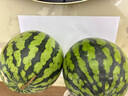 大西北 美都麒麟西瓜  紅沙瓤 嘎嘎甜 麒麟西瓜4斤-5斤 曬單實拍圖