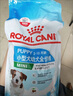 皇家狗糧幼犬狗糧幼犬奶糕寵物小型犬MIJ31全價犬糧2-10月8KG 曬單實拍圖