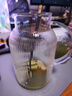 青蘋(píng)果耐熱玻璃涼水壺1.6L 可明火直燒冷水壺花茶壺泡茶圍爐煮茶壺 曬單實(shí)拍圖