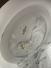 雷士（NVC）LED照明吸頂燈高顯兒童男孩女孩房間燈臥室簡約燈飾宇航員包安裝 曬單實拍圖