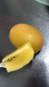 佳沛（zespri）x1號會(huì )員店聯(lián)名款陽(yáng)光金奇異果20粒禮盒單果約146-175g水果獼猴桃 曬單實(shí)拍圖