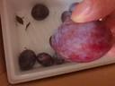 花牛 天水花牛蘋(píng)果 TIANSHUI HUANIU APPLE 當季現摘粉面紅蘋(píng)果 新鮮水果整箱 孕婦 寶寶輔食 團購送禮 蛇果 5斤裝（凈果4.5-5斤）優(yōu)選果 曬單實(shí)拍圖