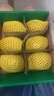 佳沛（zespri）新西蘭  陽(yáng)光金奇異果6粒裝 單果約77-103g  源頭直發(fā)  獼猴桃 曬單實(shí)拍圖
