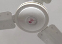 鉆石牌（DIAMOND）吊扇電風(fēng)扇家用客廳1.4米56吋樓頂扇工業(yè)大風(fēng)力吸頂電風(fēng)扇 56寸三葉吊扇王100W（銅線電機） 曬單實拍圖