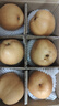 果食鮮豐山東秋月梨冰糖梨脆甜當季新鮮梨子水果 凈重3斤【單果300g+】 曬單實(shí)拍圖