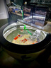 景德鎮陶瓷魚(yú)缸大號客廳養魚(yú)盆戶(hù)外鯉魚(yú)缸睡蓮荷花缸庭院老式水缸 平口魚(yú)戲荷葉 41x41x26cm 曬單實(shí)拍圖