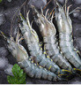 瑞豚 越南活凍黑虎蝦 斑節對蝦 海鮮水產(chǎn) 凈重3斤（30-40只/KG) 曬單實(shí)拍圖