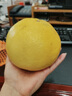 迭果福建黃金葡萄柚西柚孕婦當季新鮮水果酸甜多汁帶微苦爆汁 5斤帶箱無(wú)禮盒4-7個(gè) 曬單實(shí)拍圖