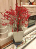 北美冬青盆栽紅果冬青盆景庭院盆栽歐洲紅豆果帶果發(fā)貨 十八年精品老樁盆栽 曬單實(shí)拍圖