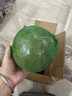 鮮福林泰國青皮紅柚子進(jìn)口翡翠金柚 當季新鮮水果 2個(gè)裝（單果凈重1.6-1.9斤） 曬單實(shí)拍圖