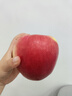 陜西長(cháng)武早熟華碩蘋(píng)果純脆甜多汁生鮮新鮮2025年時(shí)令水果整箱 90-95mm(含) 12枚禮盒 10斤 曬單實(shí)拍圖