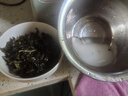 大連裙帶菜 鮮海帶非干貨海帶嫩苗兒童海菜海白菜海藻菜涼拌 裙帶菜嫩葉500g 曬單實(shí)拍圖