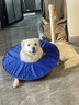 狗狗伊麗莎白圈加深大型犬狗狗防舔防咬項圈大號軟圈柔軟夏季脖套 （藍色） XL-內圈可調節25-53cm 曬單實(shí)拍圖