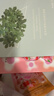 FAN BEAUTY DIARY范冰冰同款海葡萄凝水保濕面膜 補水生日禮物送女友 海葡萄面膜【2盒】 曬單實(shí)拍圖
